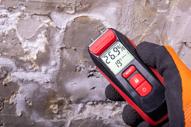 Best Mold Removal Process  in Bristol, FL