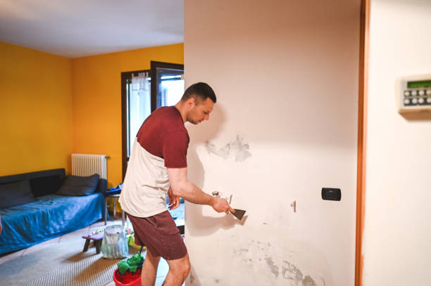 Best Mold Testing and Removal  in Bristol, FL