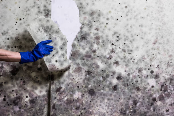 Water Damage Restoration in Bristol, FL